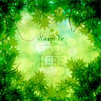 Green leaves and bokeh vector background