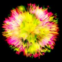 Explosion  Flower vector design