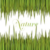 Natural green template with vector grass.
