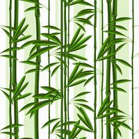 Patrón sin fisuras con plantas tropicales de bambú y hojas. vector