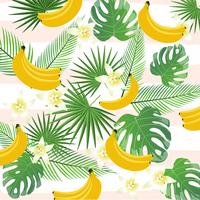 Tropical background with bananas, palm leaves and monstera