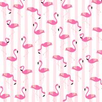 Flamingos with stripes seamless pattern background vector