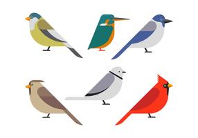 Pájaro Clipart Set Vector Illustration