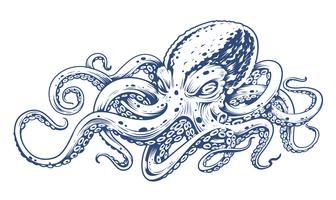 Pulpo Vintage Vector Art