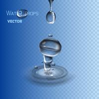 Drop falls into the water. vector