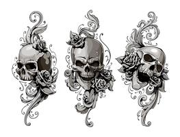 Skulls with floral patterns vector