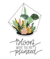 Hand drawn contained tropical house plants vector