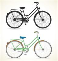 Retro vintage Bicycle Isolated on white background vector