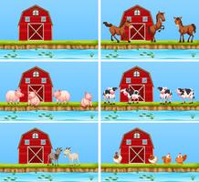 Set of animal and farm scenes vector