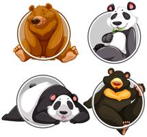 Set of different bear banner vector