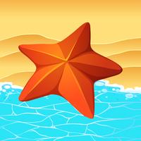 Star Fish on the Beach vector