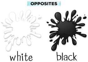 Colores opuestos para blanco y negro. vector