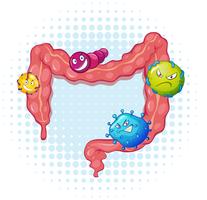 Intestino con muchas bacterias. vector