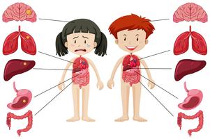 Girl and boy with different healthy and unhealthy body vector