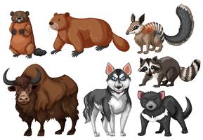 Many types of wild animals vector