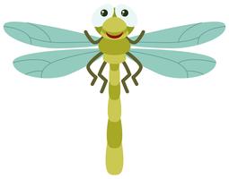 Green dragonfly on white background vector