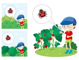 boy with a magnified glass looking at a lady bug vector
