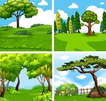 Cuatro diferentes escenas de la naturaleza verde. vector