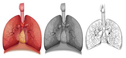 1Doodle character for human lungs vector