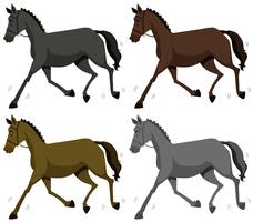 Horse in four colors vector