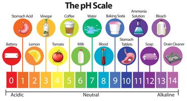 The Science pH Scale vector