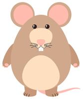 Cute rat with happy face vector