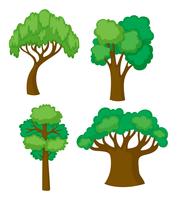 Trees in four different shapes vector