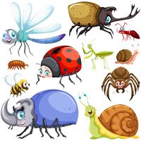 Different kinds of insects vector