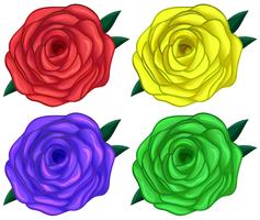 Cuatro rosas de colores vector