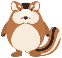 Cute chipmunk on white background vector