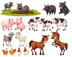 Conjunto de animales sobre fondo blanco vector