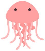 Pink jellyfish on white background vector