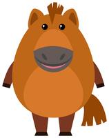 Brown horse on white background vector