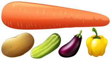 Different kind of fresh vegetables vector