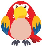 Red parrot on white background vector