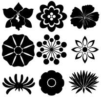 Group of floral templates vector