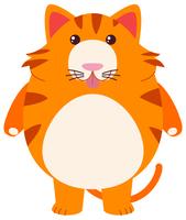 Fat cat on white background vector