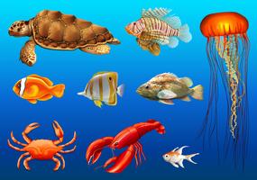 Different kinds of wild animals underwater