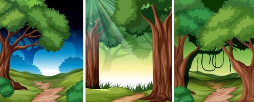 Set of tropical rainforest background vector