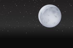 Luna en la noche oscura vector