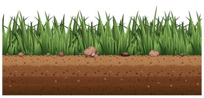 Seamless background with grass on the ground vector