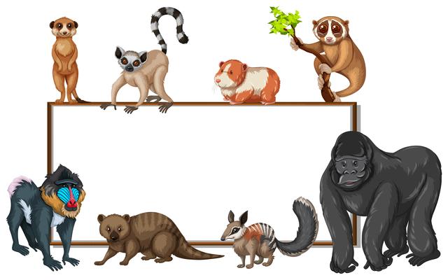 Board template with wild animals
