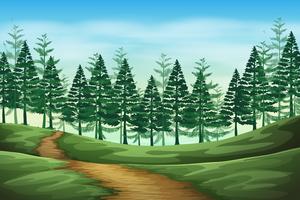 Forest landscape background scene vector