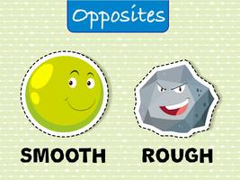 Opposite words for smooth and rough vector