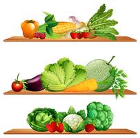 Fruits and vegetables on shelves vector