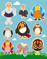 Sticker set with different types of birds vector