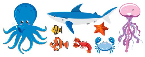 Sea Creatures Vector Art, Icons, and Graphics for Free Download