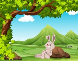 A rabbit in nature vector