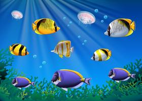 Scene with colorful fish swimming underwater vector