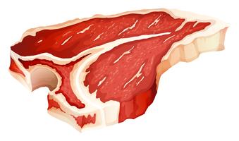 Tbone meat vector